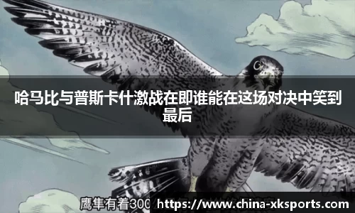 星空体育