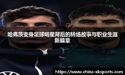 星空体育网站入口